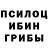 Галлюциногенные грибы Psilocybine cubensis Abdul Khamidov