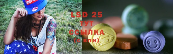 PSILOCYBIN Армянск